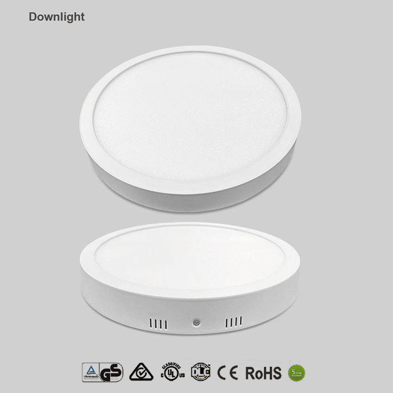 Flat circular Downlight